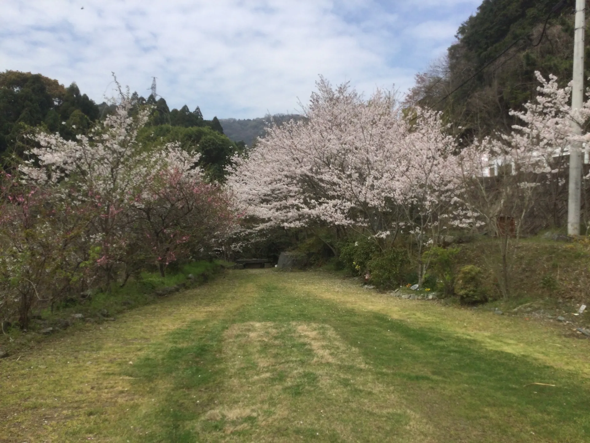 🌸 春の動物供養祭のご案内 🌸